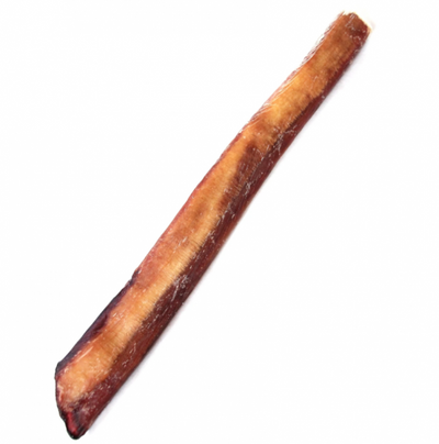 TND* Super Jumbo Bully Stick Odor Free 12"
