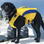 BayDog Classic Monterey Bay Life Jacket