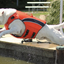 BayDog Classic Monterey Bay Life Jacket