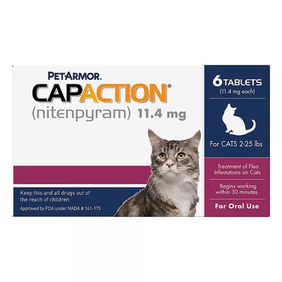 CapAction Cat 6 ct