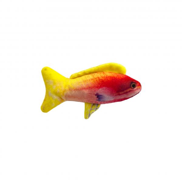 H&K Cat Toy Rainbow Guppy