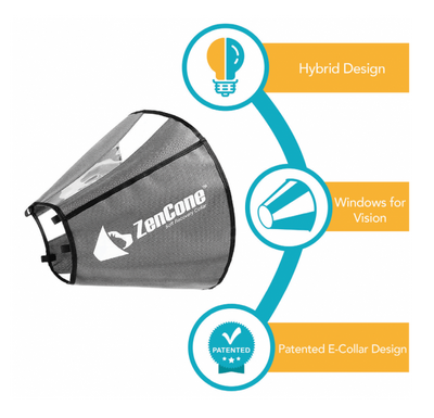 ZenPet ZenCone Medium
