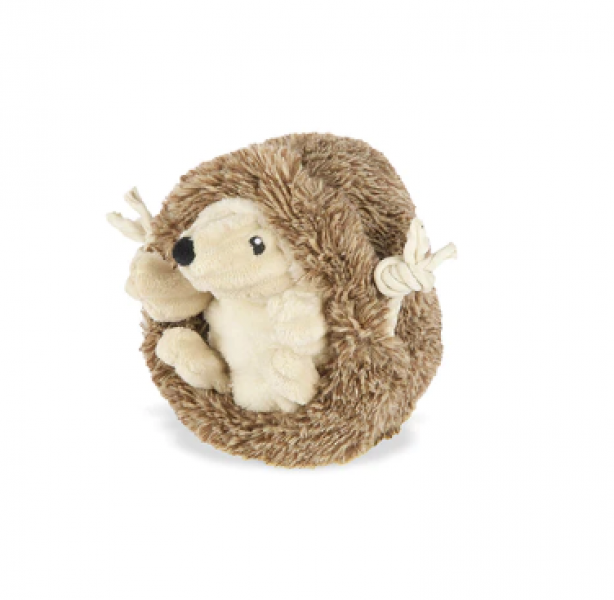 P.L.A.Y. Hedgehog
