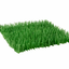 Instinct Cat Toy Meadow Mayhem Hide + Seek Grass