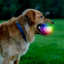 GlowStreak Wild LED Ball Disco 2