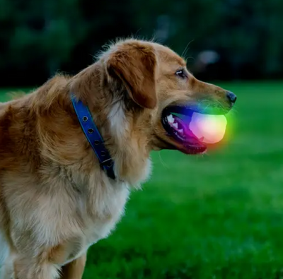 GlowStreak Wild LED Ball Disco 2