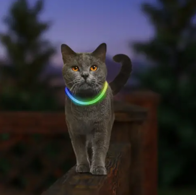 Nite Ize NiteMeow Cat Rechargable LED Safety Necklace 2