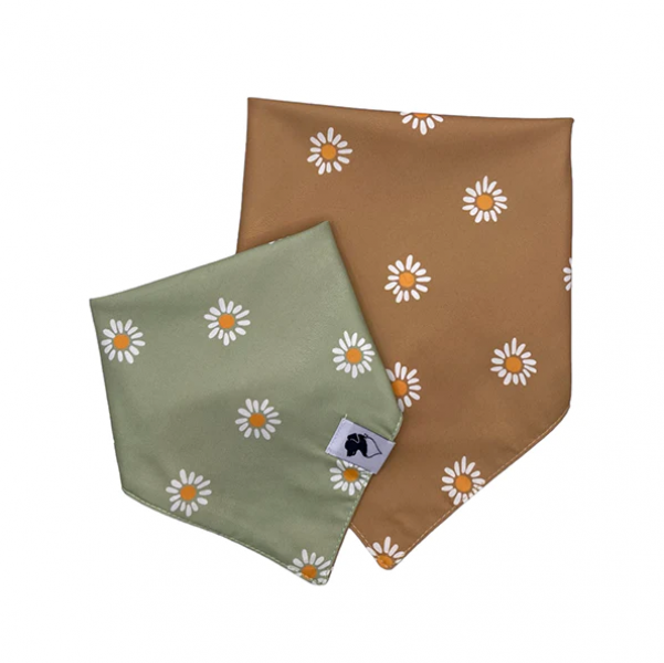 Bandana Daisies