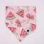 Bandana Watermelon