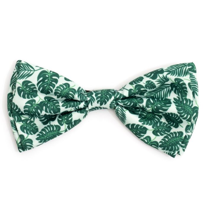 The Worthy Dog Bow Tie