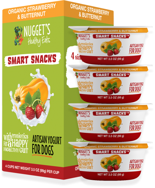 Nuggets Frozen Dog Yogurt Strawberry Butter 3.5 oz.