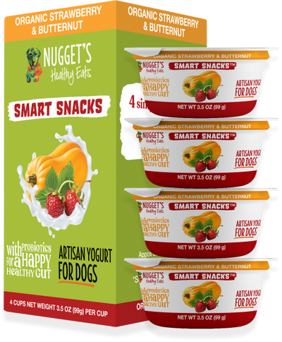 Nuggets* Frozen Dog Yogurt Strawberry Butter 3.5 oz.