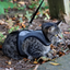 Cat Wrap Medium Harness w/ Leash with Cat