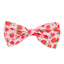 The Worthy Dog Bow Tie