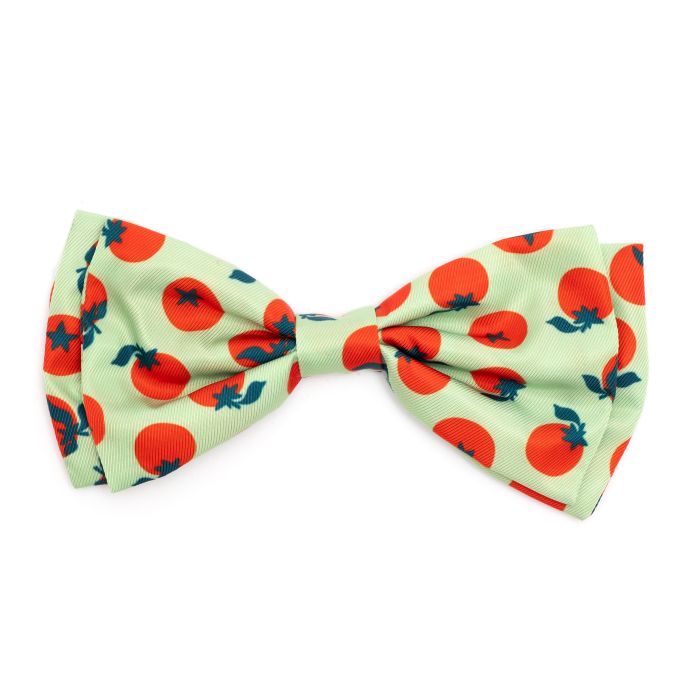 The Worthy Dog Bow Tie