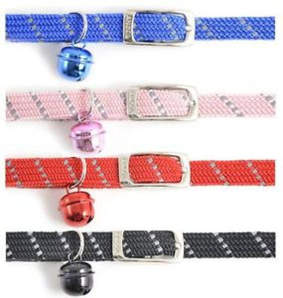 Coastal Elastacat Collar