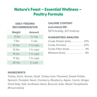 Dr. Marty Cat Food FD Nature's Feast Poultry 12 oz
