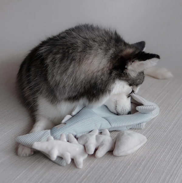 Lambwolf Trout Enrichment Dog Toy Use