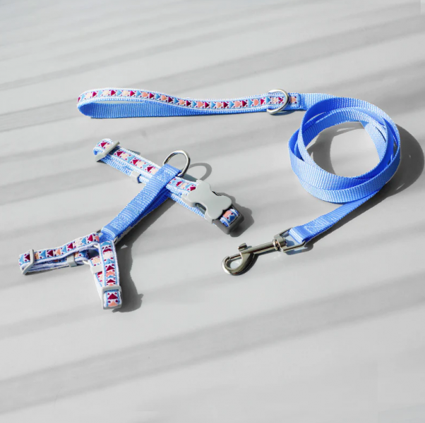 Cheerhunting Loofie Colorful Pet Harness & Leash Set Blue
