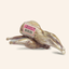 Vital Essentials FD Whole Quails