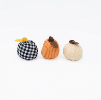 Zippy Fall Miniz 3-Pack Gourds 