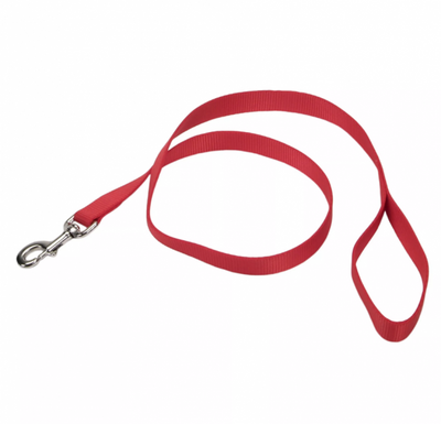Coastal Leash 4' 3/8" Red