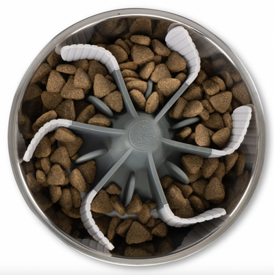 Messy Mutts Melamine Slow Feeder Insert With Suction 7.5"