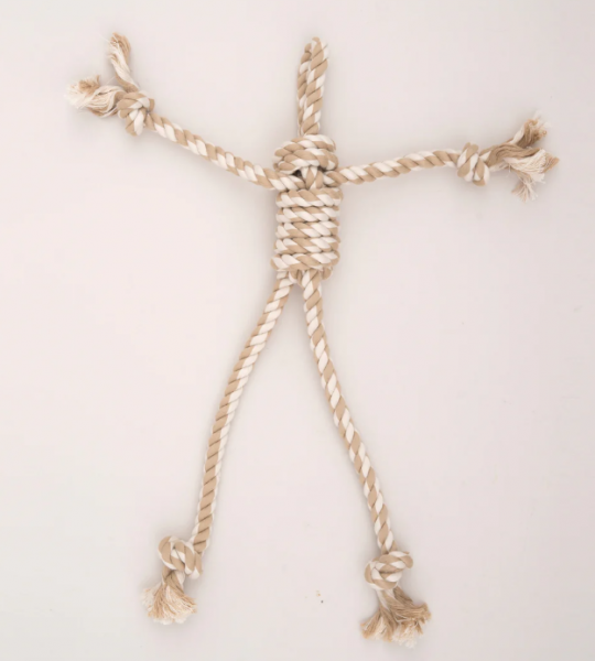 HH Dog Toy Rope X-Brace Bunny