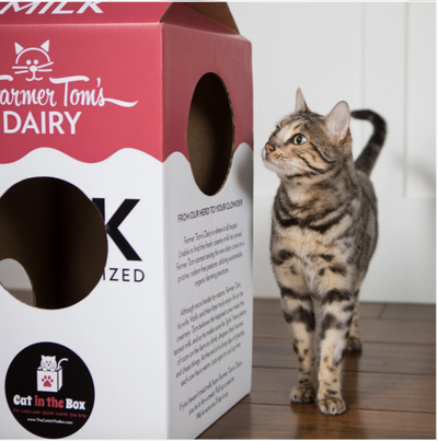 Cat in the Box Mega Milk Carton Cardboard Box Playhouse