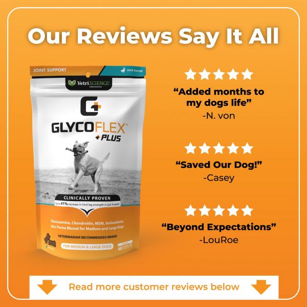 Vetri Science Dog Glycoflex Plus 60 ct.