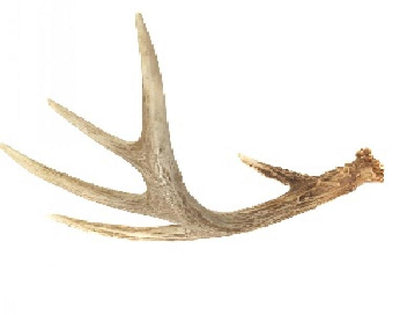 Antler Three Dots (4-6 oz.)