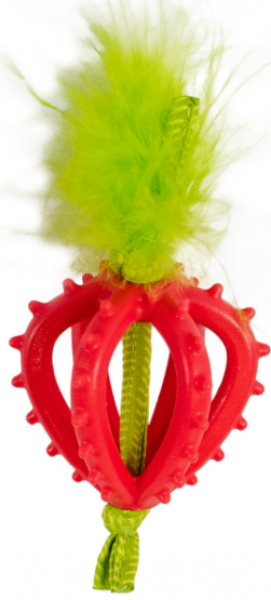 Catstages Strawberry Teether