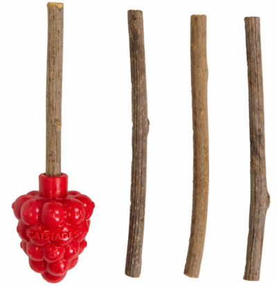 Catstages Raspberry Silvervine Teether