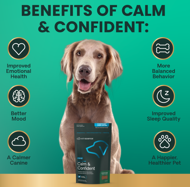 Vetri Science* Dog Composure Calm & Confident Long Lasting Chew Chicken 50 ct