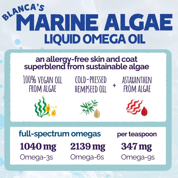 Austin and Kat* Omega Marine Algae Oil 16 oz.