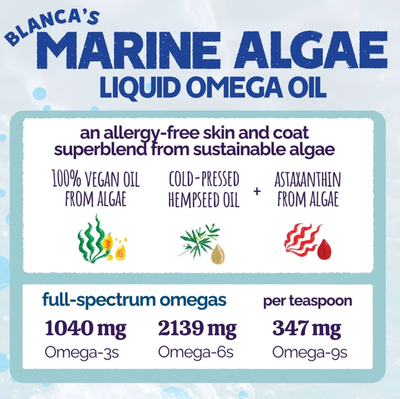Austin and Kat* Omega Marine Algae Oil 16 oz.