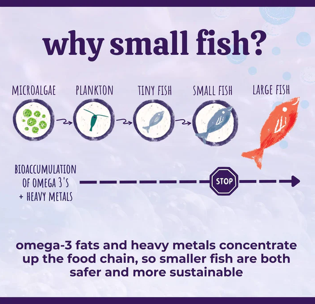 Austin and Kat* Omega Everything Oil 16 oz.