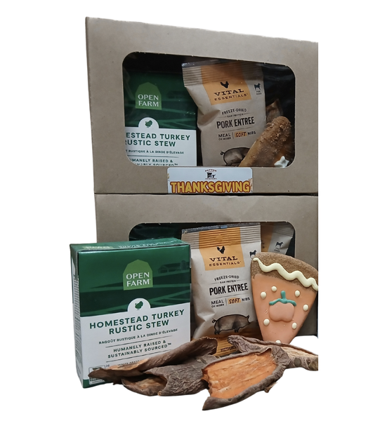 Thanksgiving Meal Dog