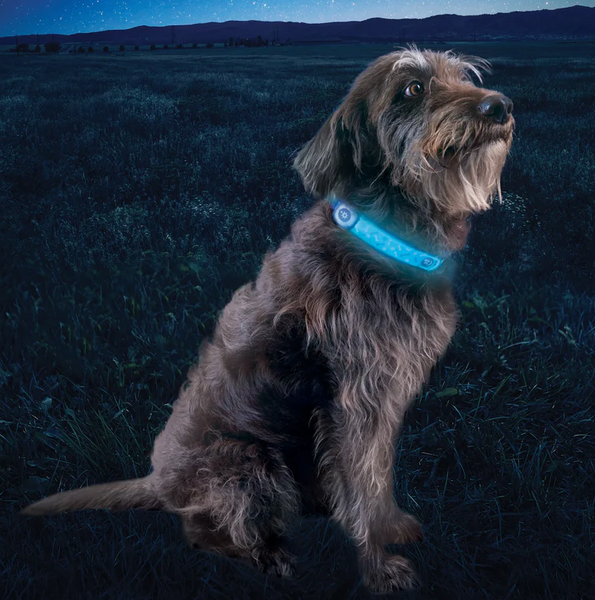 Nite Ize NiteDog Rechargeable LED Collar Cover Disc-O Select