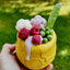 Sodapup Dog Toy Treat Dispenser Honey Pot