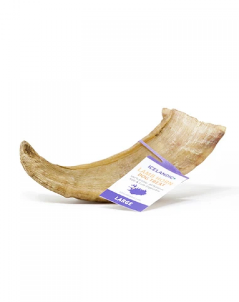 Icelandic Plus Lamb Horn Large