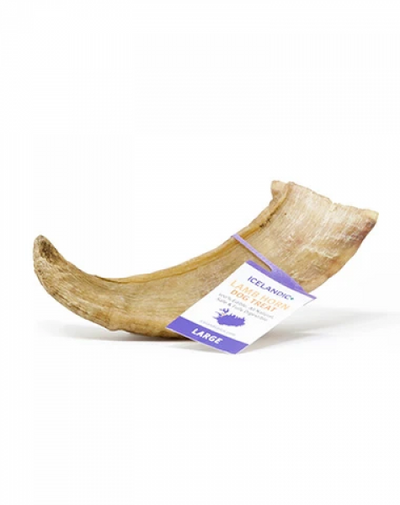 Icelandic Plus Lamb Horn Large