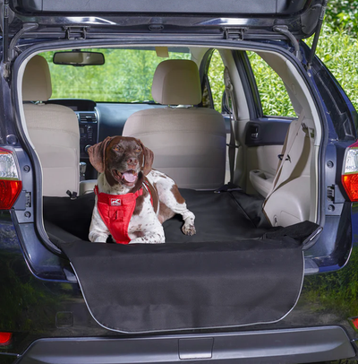 Kurgo Cargo Cape Charcoal