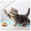 Kikkerland Cat Wooden Mouse Toy