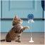 Kikkerland Cat Kitty Spring Toy