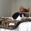 Pet Parents Pawtect Waterproof Pet Blanket