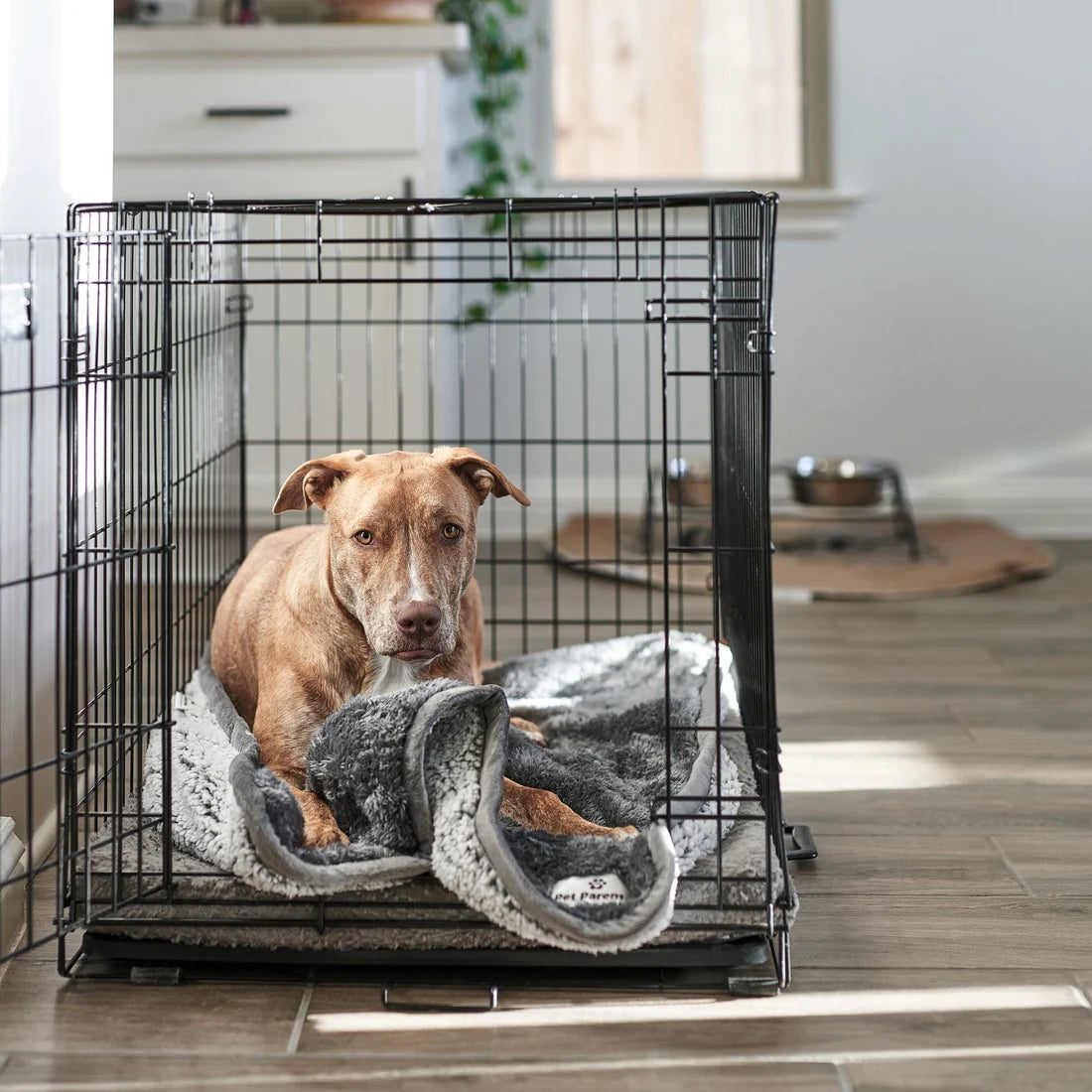 Pet Parents Pawtect Waterproof Pet Blanket