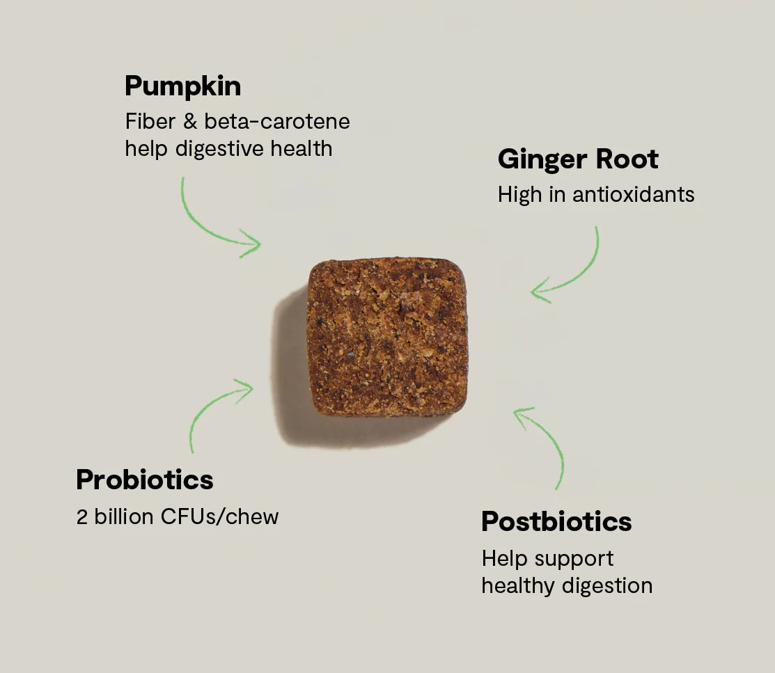 Open Farm* Supplement Probiotic Chews 90 ct