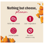 The Honest Kitchen Treats Crunchy Cheddar Cheese Bites 2 oz