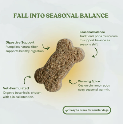 Botanical Bones Treats Pumpkin Spice